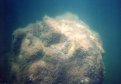 Flaming Gorge underwater