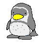 animated penguin