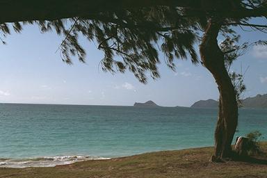 Beach in Hawaii